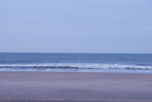 sea